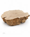 ROOT Coffee Table