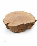 ROOT Coffee Table