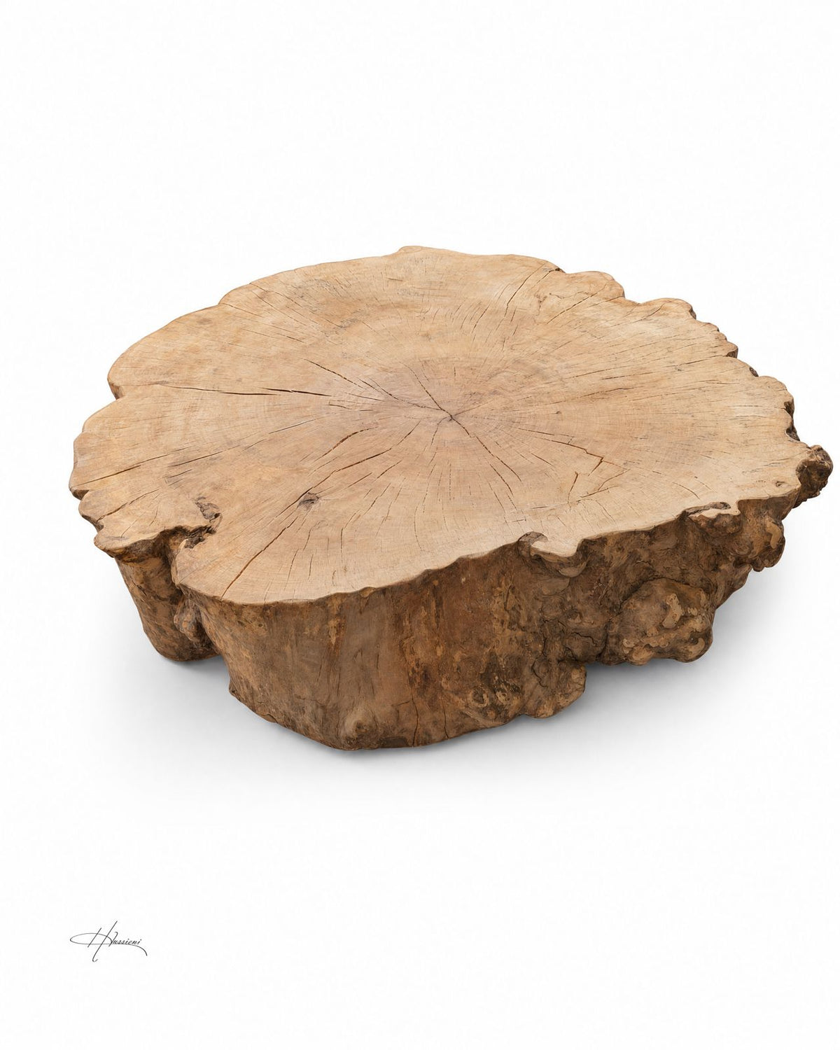 ROOT Coffee Table