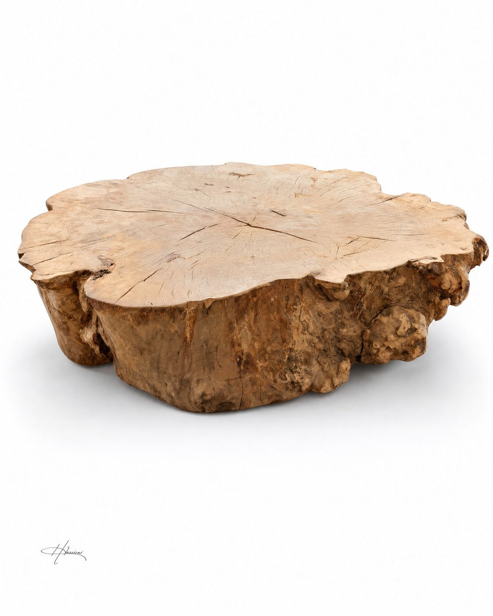 root-coffee-table
