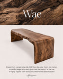 WAE Bench